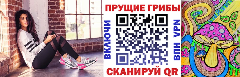 Псилоцибиновые грибы Psilocybe Нестеров