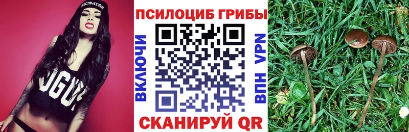 Галлюциногенные грибы мухоморы  мега   Нестеров 